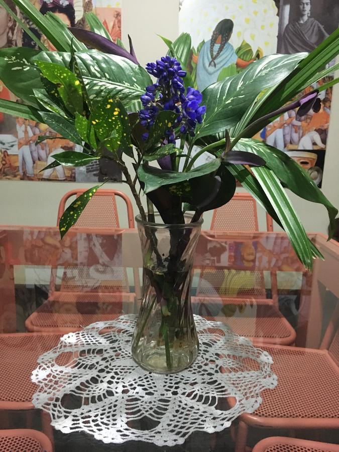 Petrópolis Itaipava Hostel מראה חיצוני תמונה